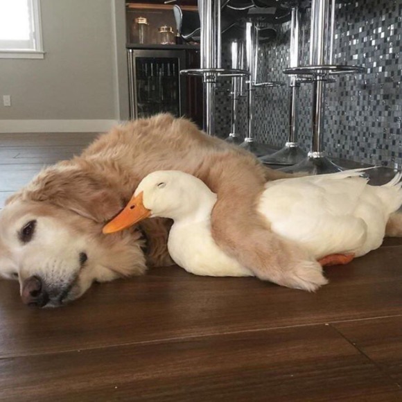 Meet your Posher, Jody - Picture 1 of 1